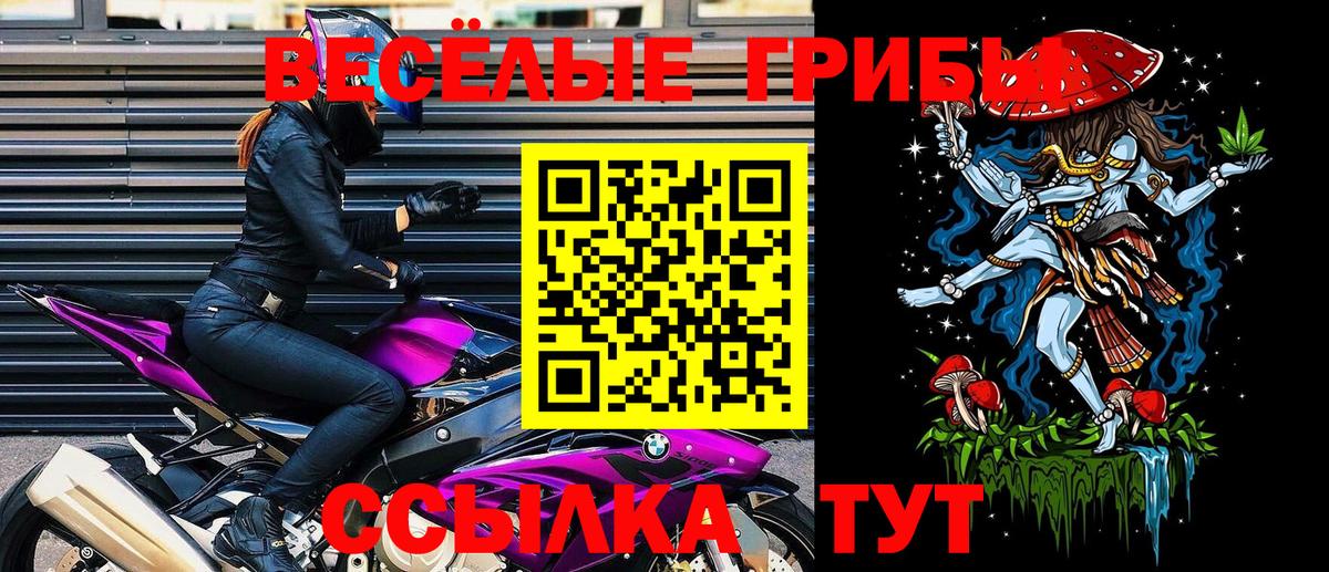 Псилоцибиновые грибы мицелий  Вход с VPN  Псилоцибиновые грибы Cubensis  Майский 
